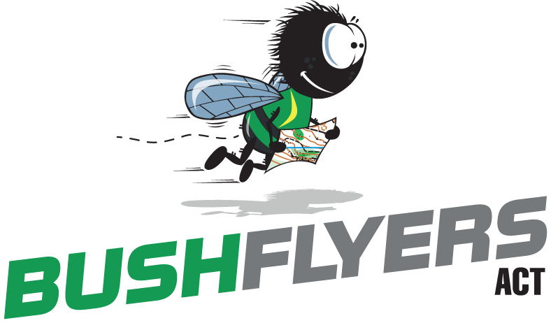 You are currently viewing The Buzz – Bushflyers News May 2018