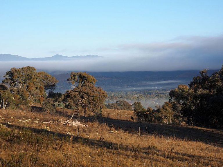 Read more about the article “Cockatoos” set courses for Wanniassa Hills – Sat 12 Aug