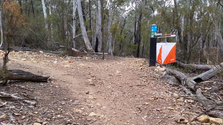 Read more about the article Riders challenged at ACT MTBO Championships