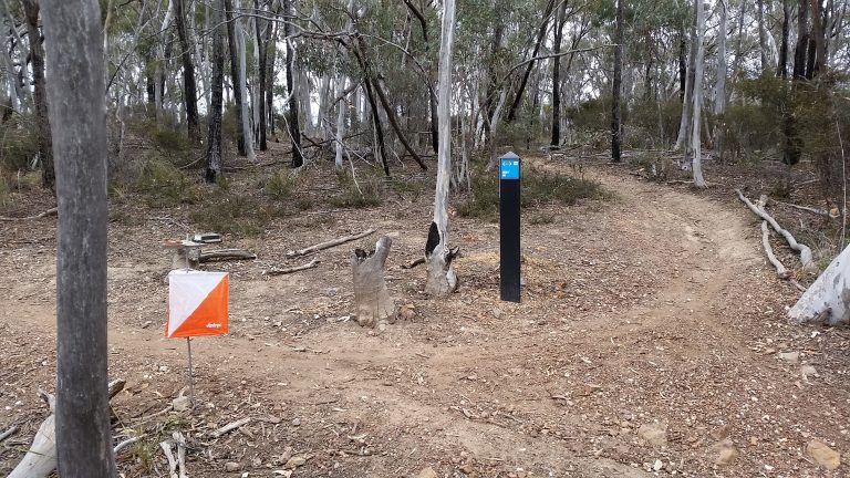 Read more about the article Bruce Ridge MTBO – This Sunday
