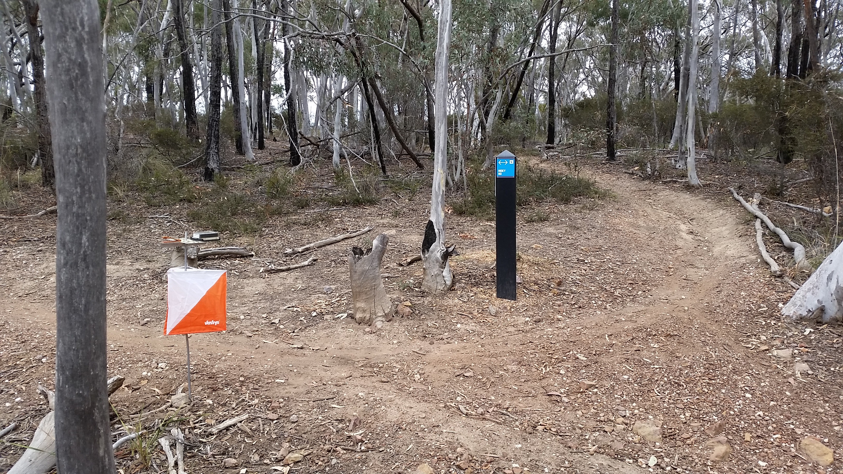 You are currently viewing Bruce Ridge MTBO – This Sunday