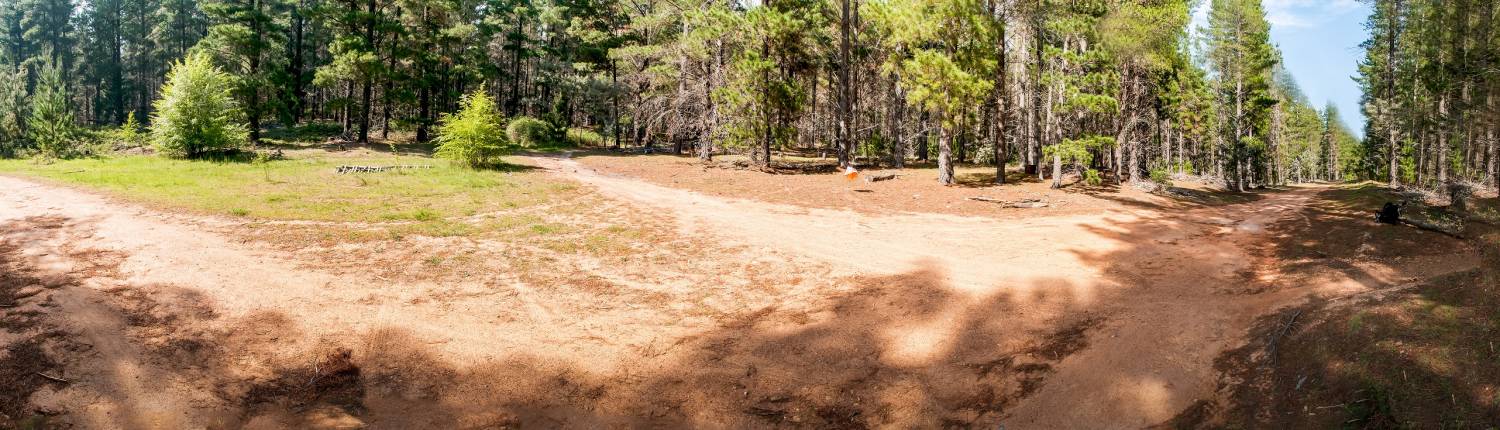 You are currently viewing Enter Now for Sparrow Hill MTBO