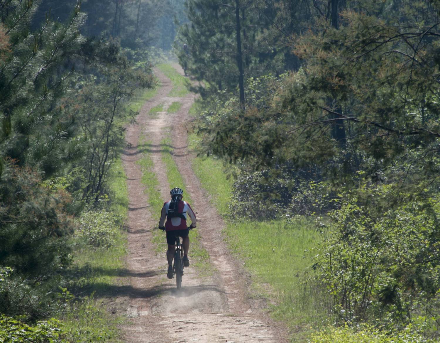 You are currently viewing MTBO Championships – This Weekend