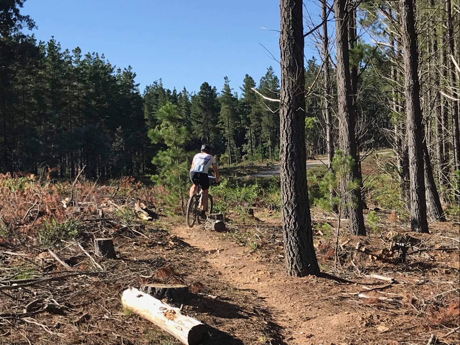 You are currently viewing Enter Now for MTBO #1