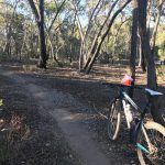 Exciting New Format for MTBO Series #2