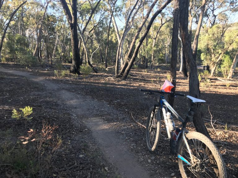 Read more about the article Entries Open for MTBO #2