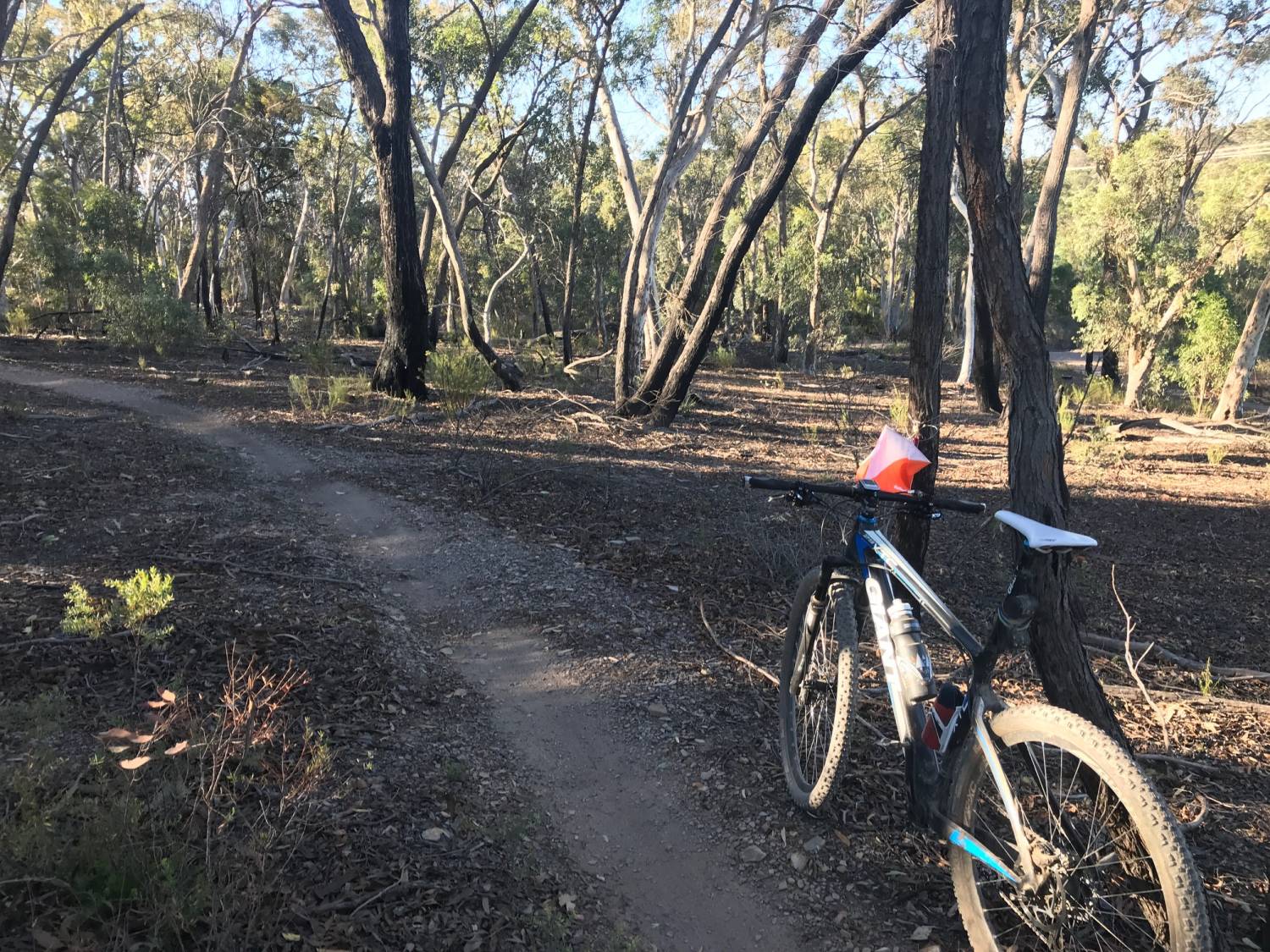 Entries Open for MTBO #2