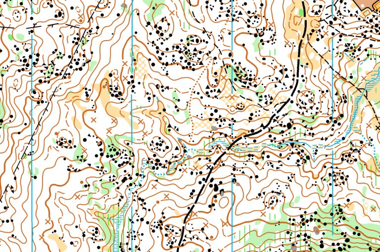 Read more about the article Orienteering and COVID-19