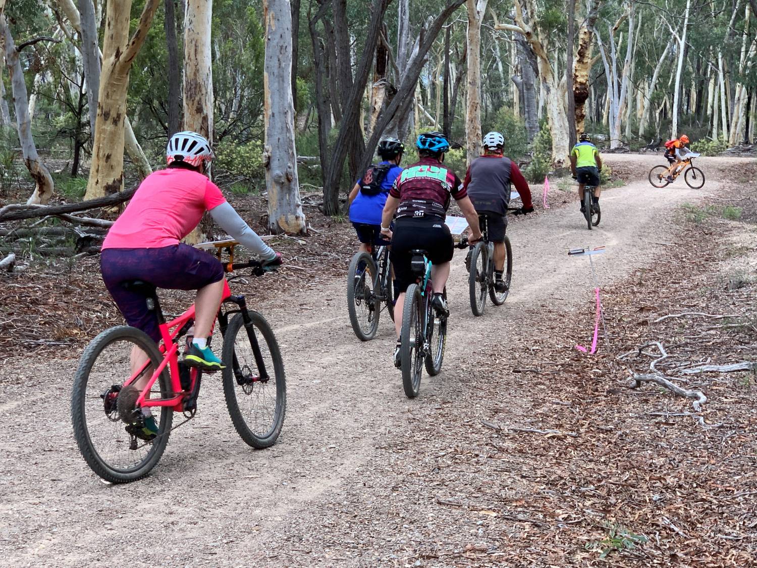 You are currently viewing Riders Learn New Skills at MTBO Training Weekend