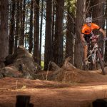 Come & Try MTBO at Beautiful Majura Pines on 24 February