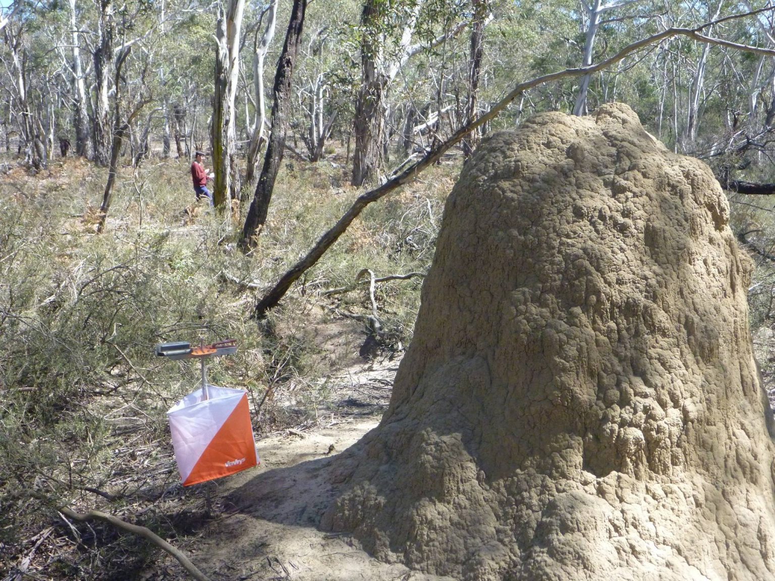 Home Orienteering Act