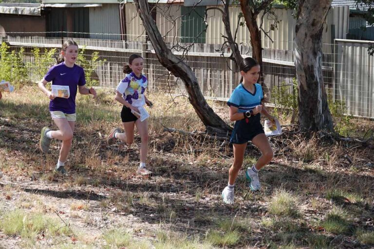 Read more about the article 2026 Memberships Now Available