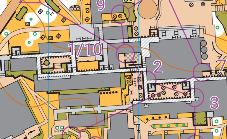 Read more about the article Coach’s Corner: Understanding Multilevel!