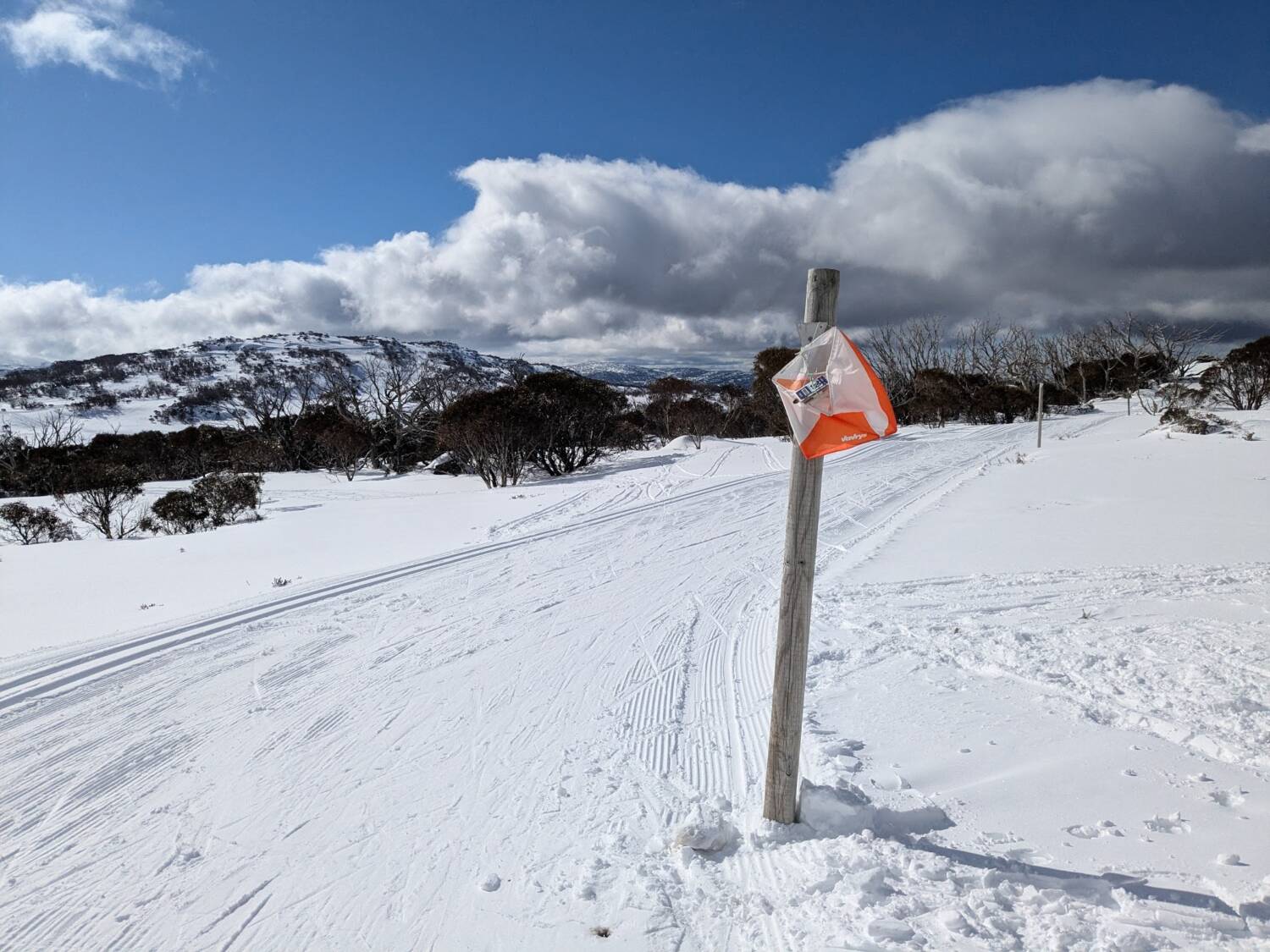 You are currently viewing Enjoy the Highest Altitude Orienteering Event in Australia!
