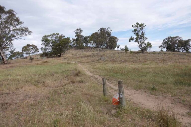 Read more about the article ACT Schools Orienteering Championships, 5 September